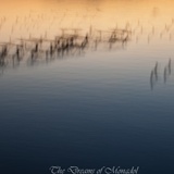 dailyPhoto29